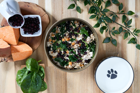 Understanding the Nutritional Needs of Dogs: How a Natural Diet Meets These Needs