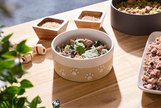 Comparing Raw and Cooked Diets for Dogs: Making the Right Choice for Your Pup