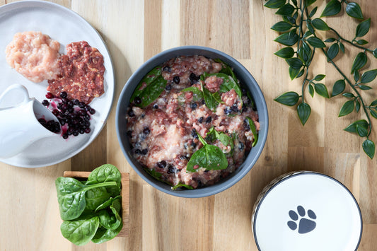 Best ingredients for chicken dog food: What sets a natural raw formula apart