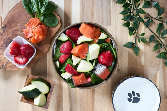 Starting Your Puppy on Joey’s Raw: A Guide to Optimal Nutrition from Day One