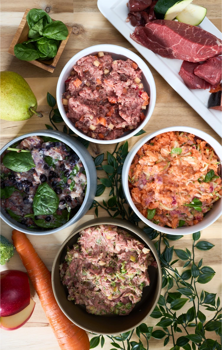 A selection of Joey's Raw balanced and fresh meals, featuring premium natural ingredients for healthy and happy dogs.