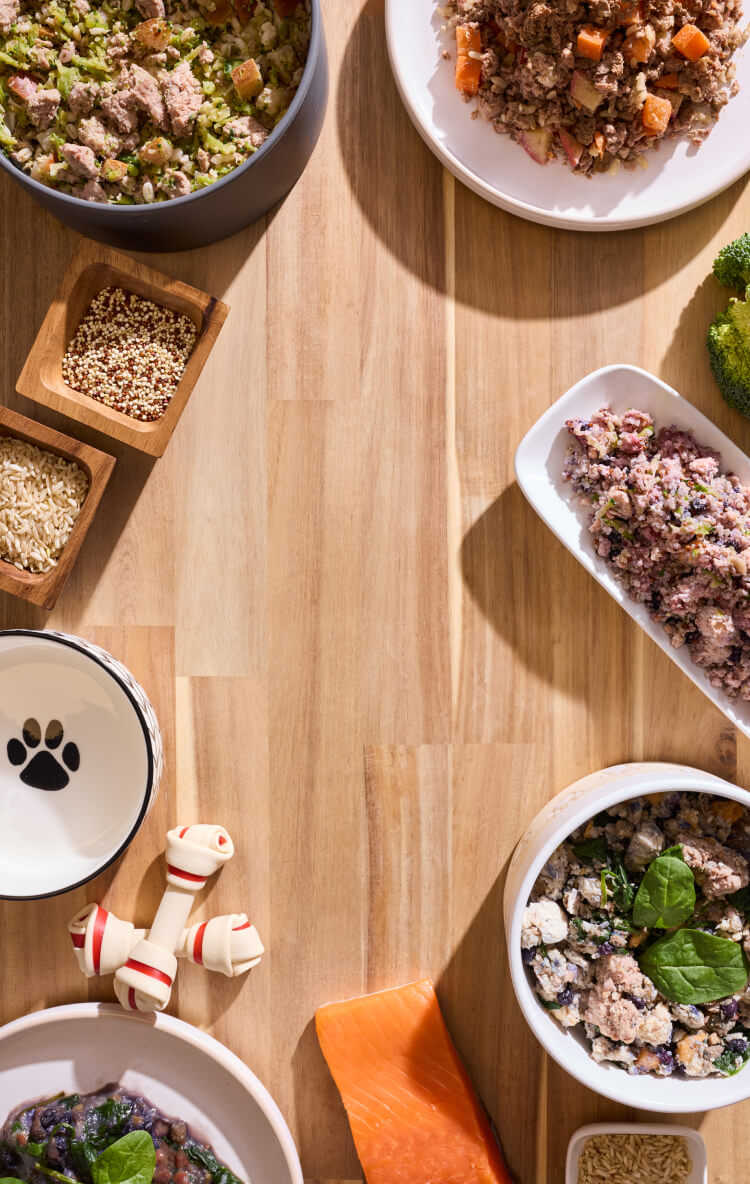 best canadian raw dog food