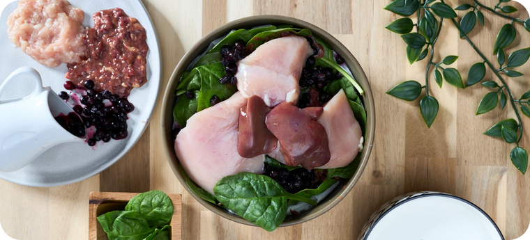 Fresh raw ingredients for Joey's Raw chicken meal, including chicken, vegetables, and natural supplements, displayed in a bowl to showcase meal contents.