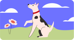 Dog running to represent high activity
