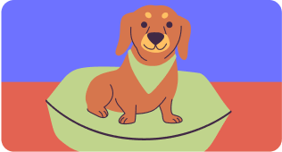 Dog resting to represent low activity