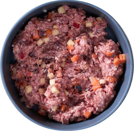 Raw beef recipe for dogs