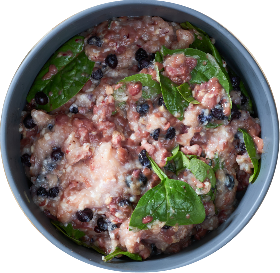 Raw chicken recipe for dogs