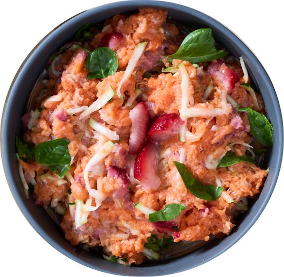 Raw salmon recipe for dogs